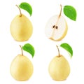 Set of chinese pear fruits Royalty Free Stock Photo