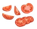 A set of chopped tomatoes. Slices, triangles, halves. Digital illustration on a white background. Applicable for packaging design