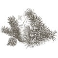 Set of Christmas decoration with pinecone, pine branch and candle.