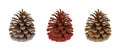 Set of christmas decorations. isolated pine cones with red, silver and gold glitters Royalty Free Stock Photo