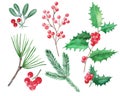 Set of Christmas elements, red berries, holly, mistletoe, hand d