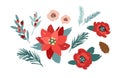 Set of Christmas floral design elements. Flowers, leaves, needles, berries. Vector Royalty Free Stock Photo