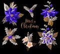 Set of Christmas flowers bouquets with golden elements. Vector. Royalty Free Stock Photo