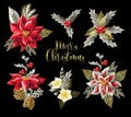 Set of Christmas flowers bouquets with golden elements. Vector. Royalty Free Stock Photo