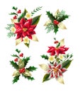 Set of Christmas flowers bouquets with golden elements. Vector.
