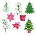 Set of Christmas green trees and red poinsettia flowers with decorative pot, hand drawn watercolor illustration Royalty Free Stock Photo