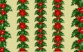 Set Christmas Holly berries and Christmas poinsettia flower star vertical borders isolated. Xmas decorations. Vector Royalty Free Stock Photo