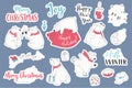 Set of christmas stickers of polar bears. Cartoon collection with cute bears and hand draw lettering Merry Christmas. Royalty Free Stock Photo