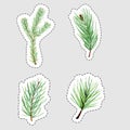Set of Christmas stickers of watercolor hand drawn fir and pine branches, isolated vector design elements Royalty Free Stock Photo