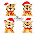 Set of  Christmas tiger cartoon character Royalty Free Stock Photo