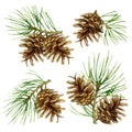 Set of christmas tree branches with pine cones. Watercolor illustration isolated on white background. Royalty Free Stock Photo