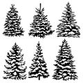 Set of Christmas trees. Collection of black and white Christmas trees. Vector illustration for children. Tattoo.