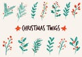 Set of Christmas twigs, branches, plants