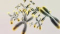 The set of chromosomes with telomerase on a light background HD video