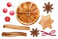 Set of cinnamon, anise, dried orange, clique, watercolor illustrations, individual elements on a white background