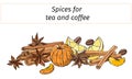 Set of cinnamon, anise and lemon, cut out on a white background. Vector illustration of spices for tea and coffee. world tea day