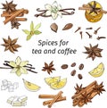 Set of cinnamon, anise, lemon, vanilla and cloves on a white background. Hand-drawn spices for tea and coffee. Realistic