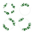 Set of circles floral green frame for highlights for social networks