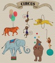 Set of circus animals Royalty Free Stock Photo
