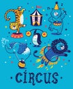 Set of circus cartoon animals Royalty Free Stock Photo