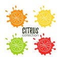 Set of citrus collection. Hand draw silhouette