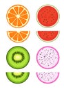 citrus and exotic tropical fruit slice vector Royalty Free Stock Photo