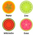 Set of citrus and exotic, tropical fruit slices watermelon, lime, papaya