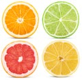 Set citrus fruit, cut in half orange, lemon, lime, grapefruit Royalty Free Stock Photo