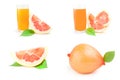 Set of citrus fruit over a white background Royalty Free Stock Photo