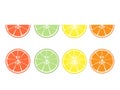 Set of Citrus fruit slices isolated on white background in flat design Royalty Free Stock Photo