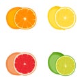 Set of citrus fruits orange, lemon, grapefruit, lime, vector illustration Royalty Free Stock Photo