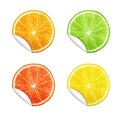 Set of citrus fruits. Orange, Lime, Grapefruit, Lemon.
