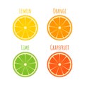 Set of citrus icons in flat style. Slices of orange, lime, lemon, grapefruit isolated on white. Fresh fruits vector illustration. Royalty Free Stock Photo