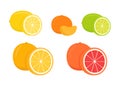 Set of citrus lemon, mandarin, lime, orange, grapefruit - whole, cut half. Fresh sour citrus fruit with vitamins. Piece and slice Royalty Free Stock Photo