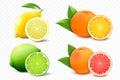 Set of citrus lemon, mandarin, lime, orange, grapefruit - whole, cut half. Fresh sour citrus fruit with vitamins. Realistic 3d Royalty Free Stock Photo