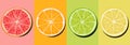 Set citrus lime lime orange and grapefruit cutaway