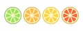 A set of citrus slices of lime, orange, grapefruit and lemon. Vector illustration. Royalty Free Stock Photo