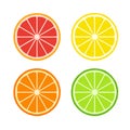 Set of citrus slices symbols flat design Royalty Free Stock Photo