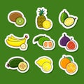 Set of citrus and tropical fruits Royalty Free Stock Photo