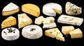 set of classic different types of cheese as milk dairy product display isolated on transparent png cutout background