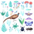 Set of clip art of forest plants, birds and insects. Magical mushrooms and vector nature elements for design.