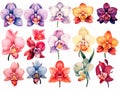 set of clip art orchids that can be peeled off in pastel colors, watercolor style