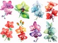 set of garland clip art orchids that can be peeled off in pastel colors, watercolor style