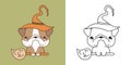 Set Clipart Halloween Bulldog Dog Coloring Page and Colored Illustration. Kawaii Halloween Dog Royalty Free Stock Photo