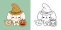 Set Clipart Halloween Poodle Dog Coloring Page and Colored Illustration. Kawaii Halloween Dog. Royalty Free Stock Photo