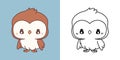 Set Clipart Owl Coloring Page and Colored Illustration. Kawaii Isolated Bird.