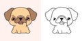 Set Clipart Pug Dog Coloring Page and Colored Illustration. Kawaii Isolated Puppy. Royalty Free Stock Photo