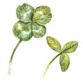 A set of clover leaves - four-leafed and trefoil. Watercolor illustration. Design element Happy Saint Patricks Day Royalty Free Stock Photo