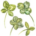 A set of clover leaves - four-leafed and trefoil. Watercolor illustration. Design element Happy Saint Patricks Day Royalty Free Stock Photo