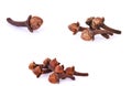 Set of Cloves flower buds of Syzygium aromaticum. Clipping paths, shadow separated;herb for health